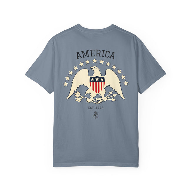 USA 250 1880s American Ship Pennant Eagle Tee